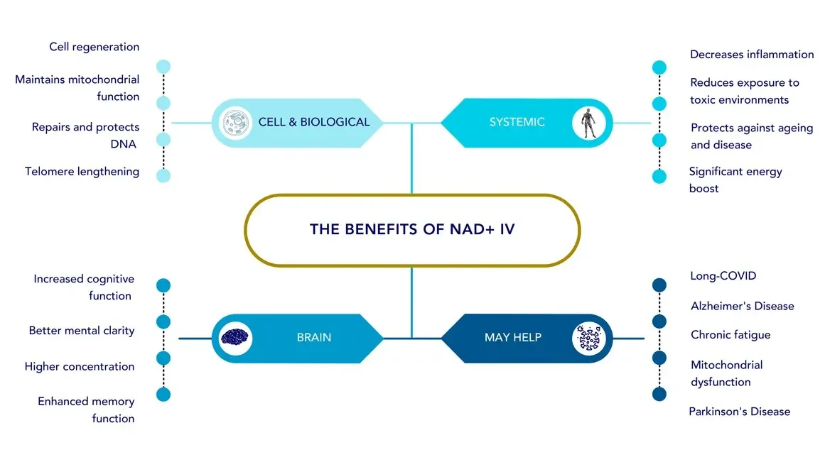 a diagram showing the benfits of NAD+ IV treatment 